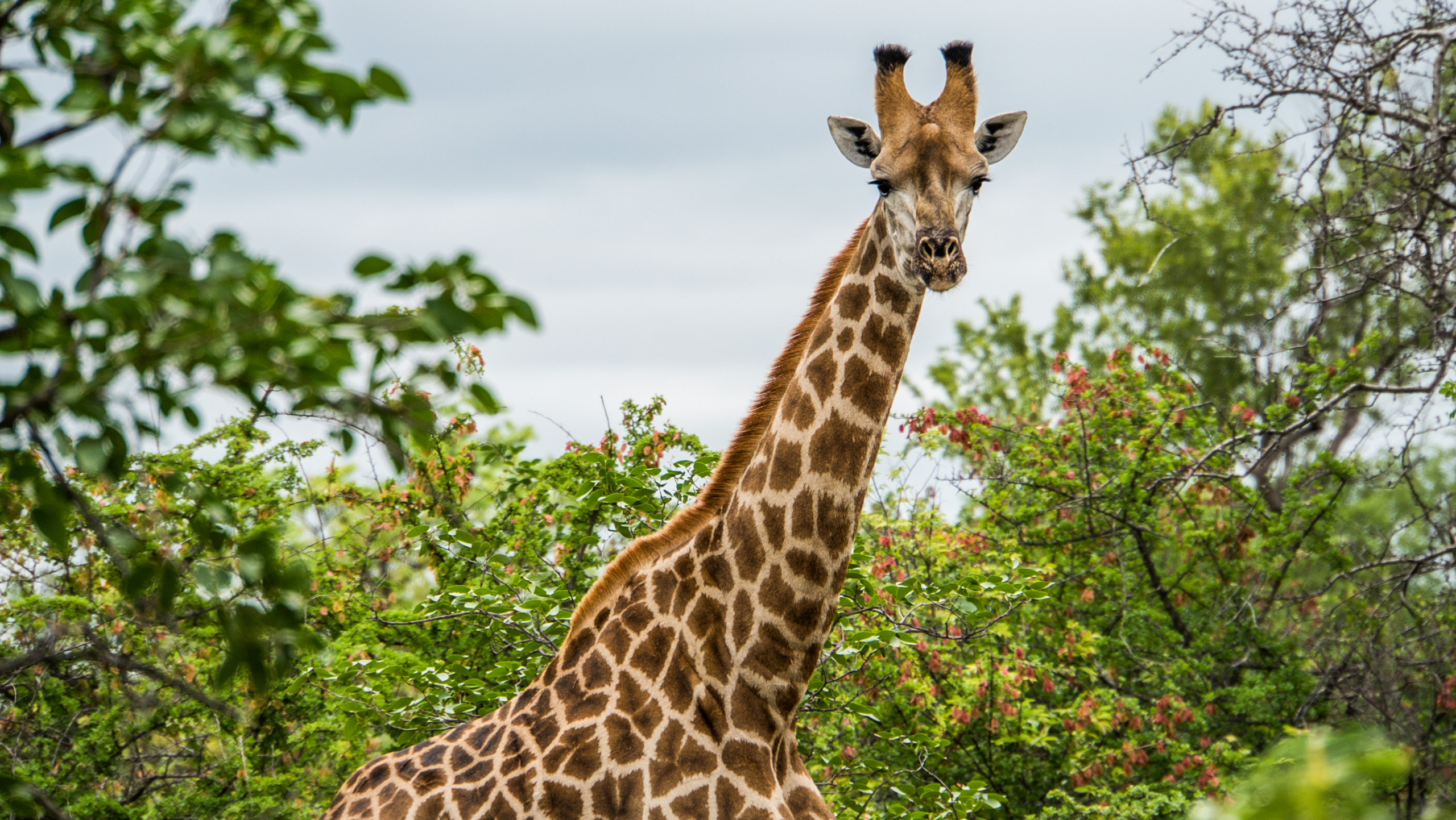 Wildlife & Nature – PAM Holidays Wildlife & Nature – PAM Holidays